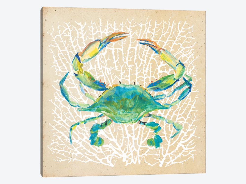Sealife Crab by Julie Derice 1-piece Canvas Art