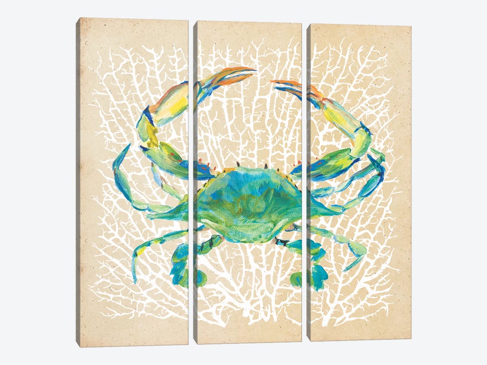 Sealife Crab by Julie Derice 3-piece Canvas Wall Art
