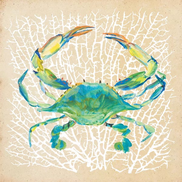Crabs: Sealife Crab by Julie Derice
