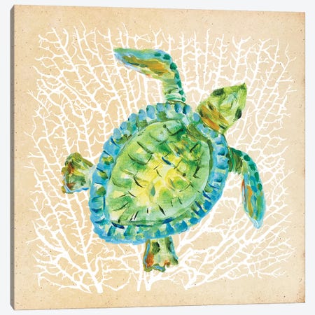 Sealife Turtle Canvas Print #DRC155} by Julie Derice Canvas Wall Art