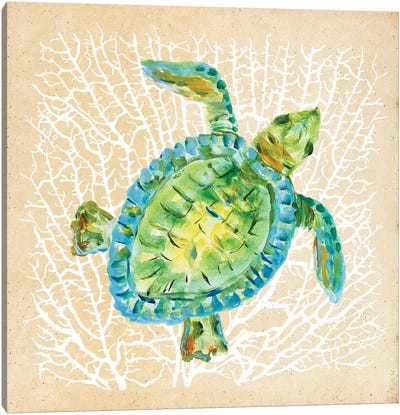 Sealife Turtle Canvas Art Print - Turtle Art