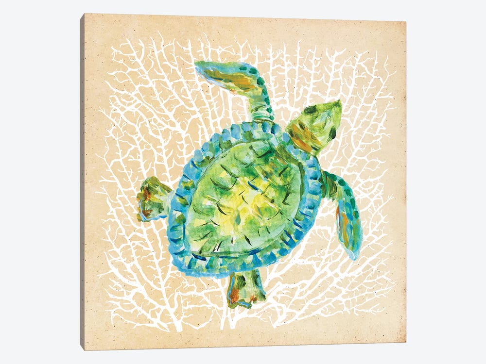 Sealife Turtle by Julie Derice 1-piece Canvas Art Print