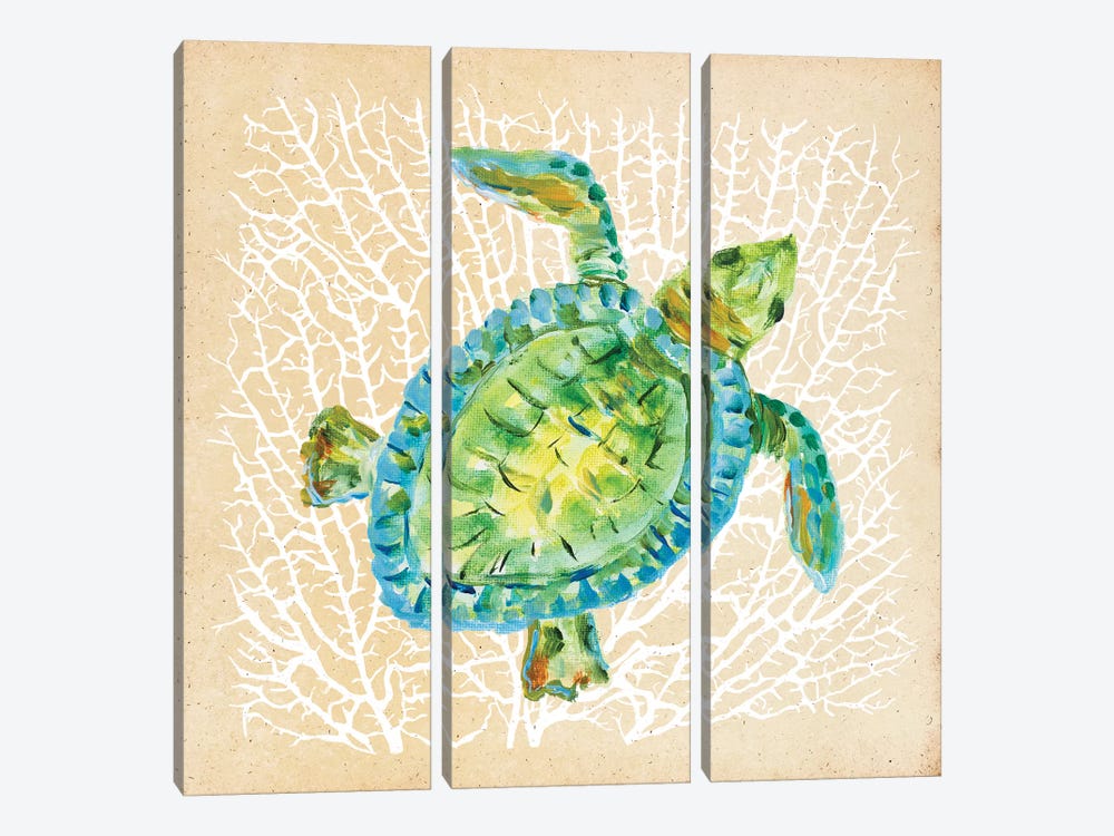 Sealife Turtle by Julie Derice 3-piece Art Print