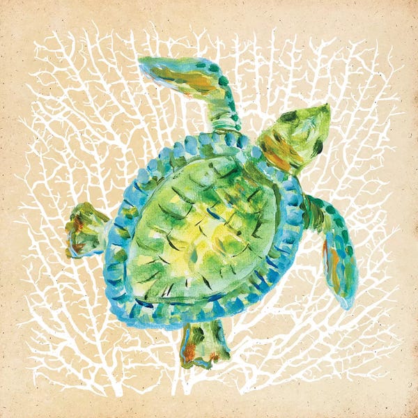 Turtles: Sealife Turtle by Julie Derice