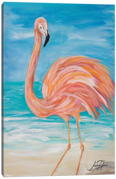Flamingo II Canvas Art Print - Julie Derice
