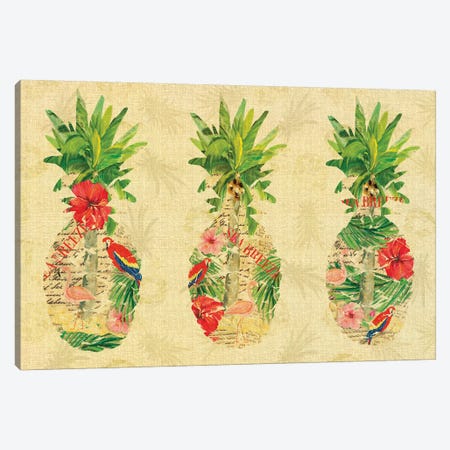 Triple Tropical Pineapple Collage Canvas Print #DRC175} by Julie Derice Canvas Artwork