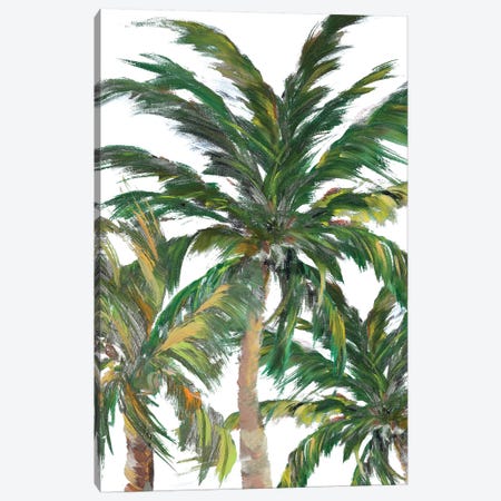 Tropical Trees On White III Canvas Print #DRC178} by Julie Derice Canvas Art Print