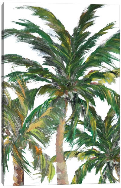 Tropical Trees On White III Canvas Art Print - Julie Derice