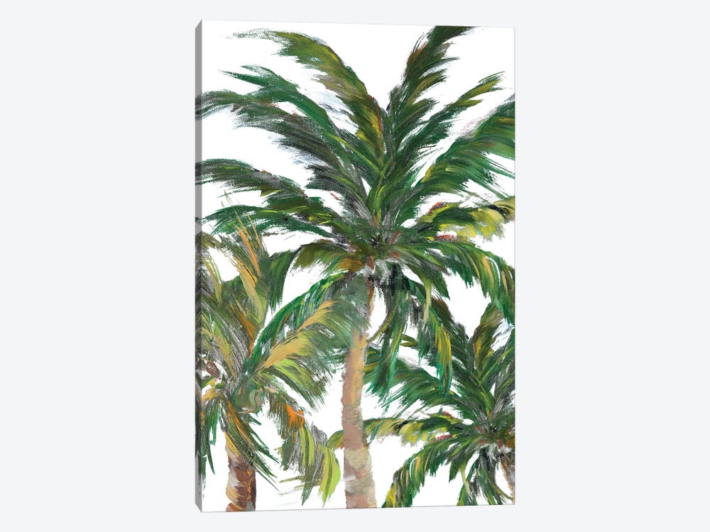 Tropical Trees On White III by Julie Derice 1-piece Canvas Wall Art