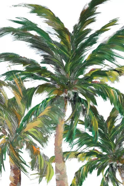 Tree Close-Ups: Tropical Trees On White III by Julie Derice