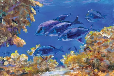 Under The Sea by Julie Derice canvas print