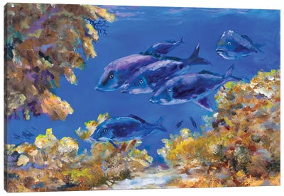 Under The Sea Canvas Art Print - Julie Derice