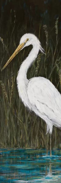 Egrets: White Egret by Julie Derice