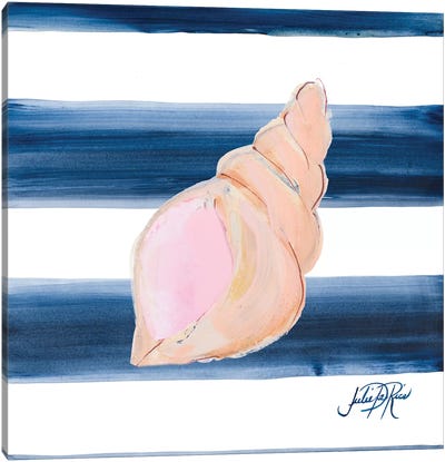Nautical Shell I Canvas Art Print - Julie Derice