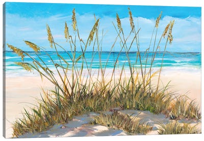 Beach Grass Canvas Art Print - Sandy Beach Art