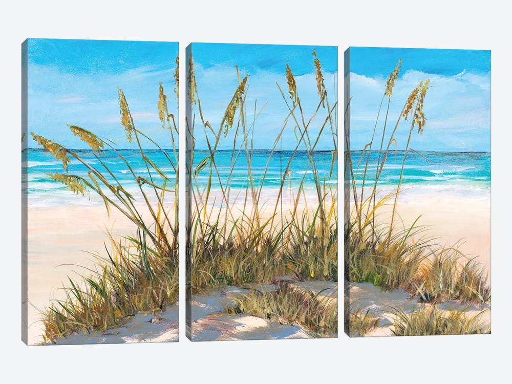 Beach Grass by Julie Derice 3-piece Canvas Print