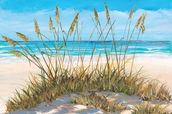Large Coastal Art - Canvas Prints: Beach Grass by Julie Derice