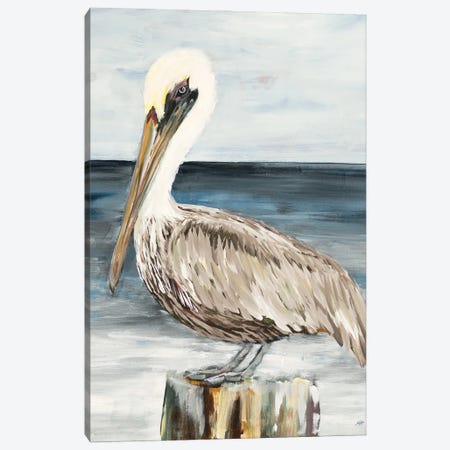 Muted Perched Pelican Canvas Print #DRC209} by Julie Derice Art Print