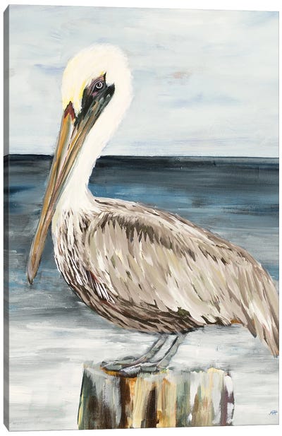 Muted Perched Pelican Canvas Art Print - Pelican Art