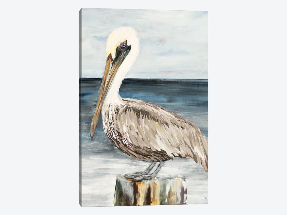 Muted Perched Pelican by Julie Derice 1-piece Canvas Art