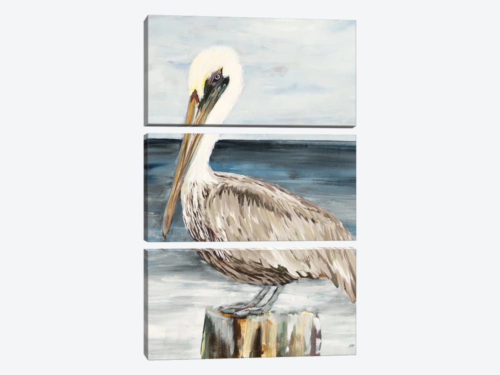 Muted Perched Pelican by Julie Derice 3-piece Canvas Art