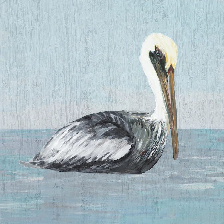 Pelican Wash III by Julie Derice wall art