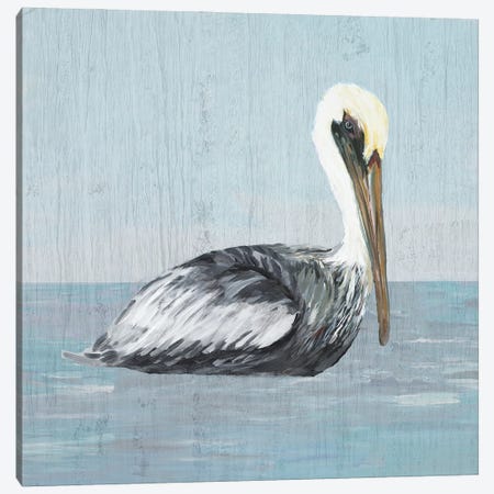 Pelican Wash III Canvas Print #DRC211} by Julie Derice Canvas Wall Art