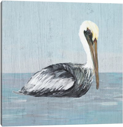 Pelican Wash III Canvas Art Print - Pelican Art