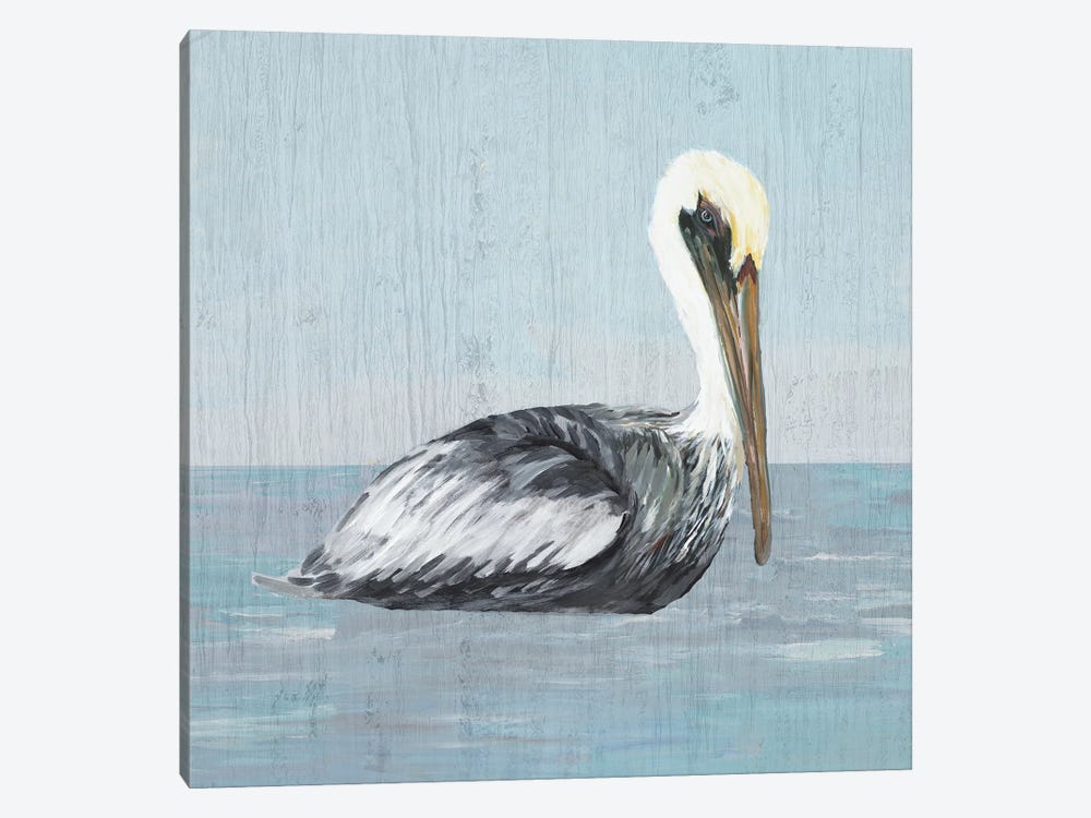 Pelican Wash III by Julie Derice 1-piece Canvas Print