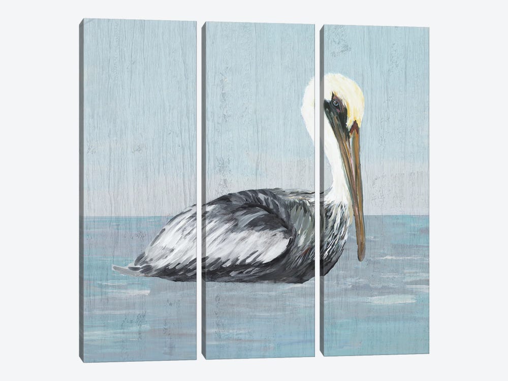 Pelican Wash III by Julie Derice 3-piece Art Print
