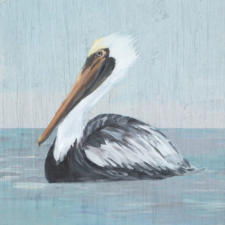 Pelican Wash IV by Julie Derice wall art