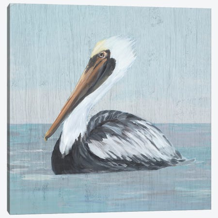 Pelican Wash IV Canvas Print #DRC212} by Julie Derice Canvas Artwork