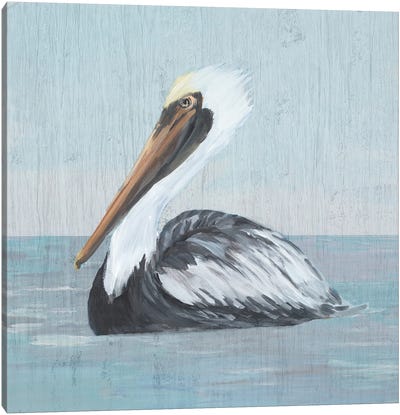 Pelican Wash IV Canvas Art Print - Pelican Art