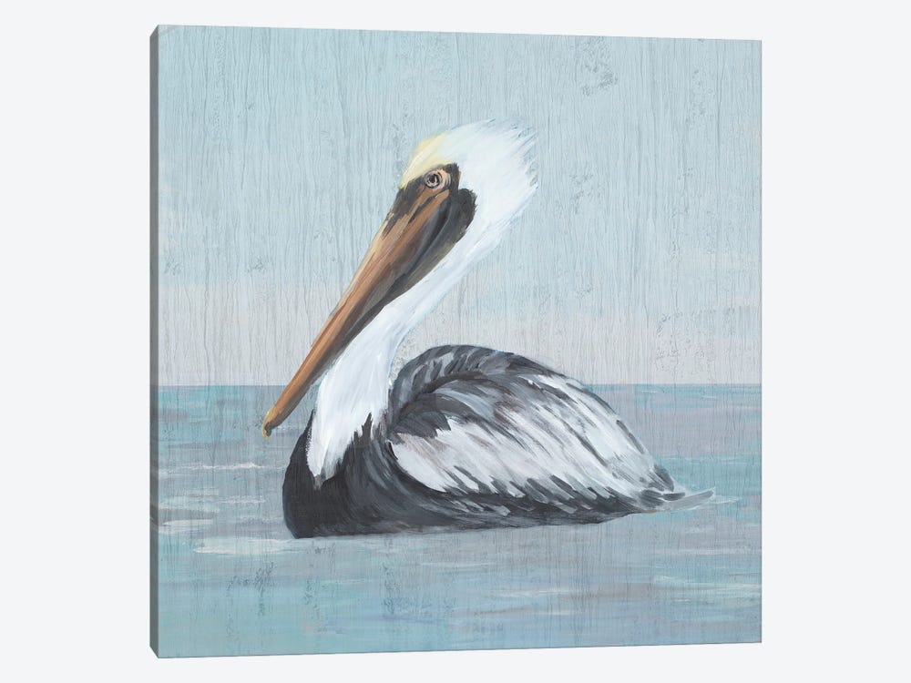 Pelican Wash IV by Julie Derice 1-piece Canvas Wall Art