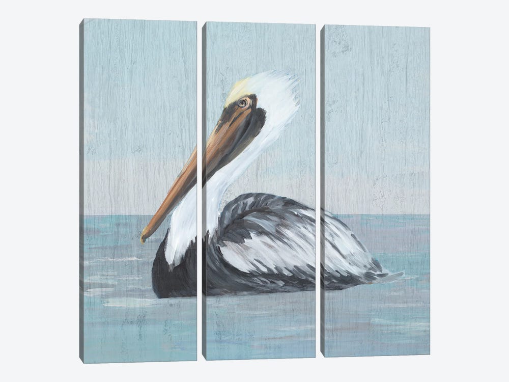 Pelican Wash IV by Julie Derice 3-piece Canvas Wall Art