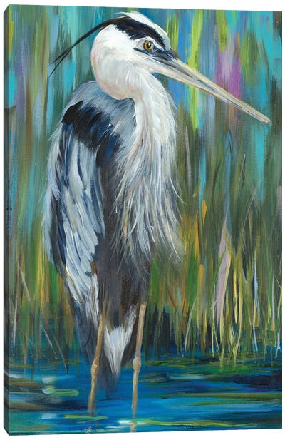 Standing Still Heron I Canvas Art Print - Julie Derice
