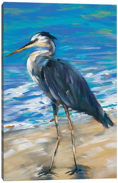 Beach Bird II Canvas Art Print - Crane Art