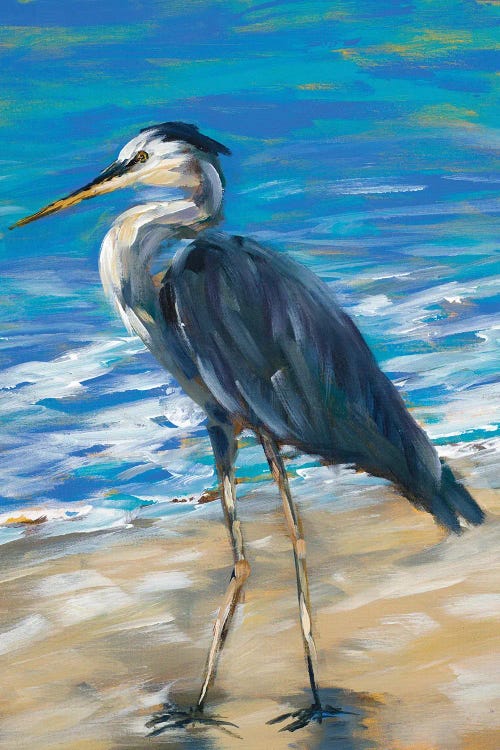 Beach Bird II