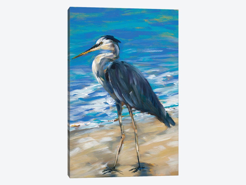 Beach Bird II by Julie Derice 1-piece Canvas Art
