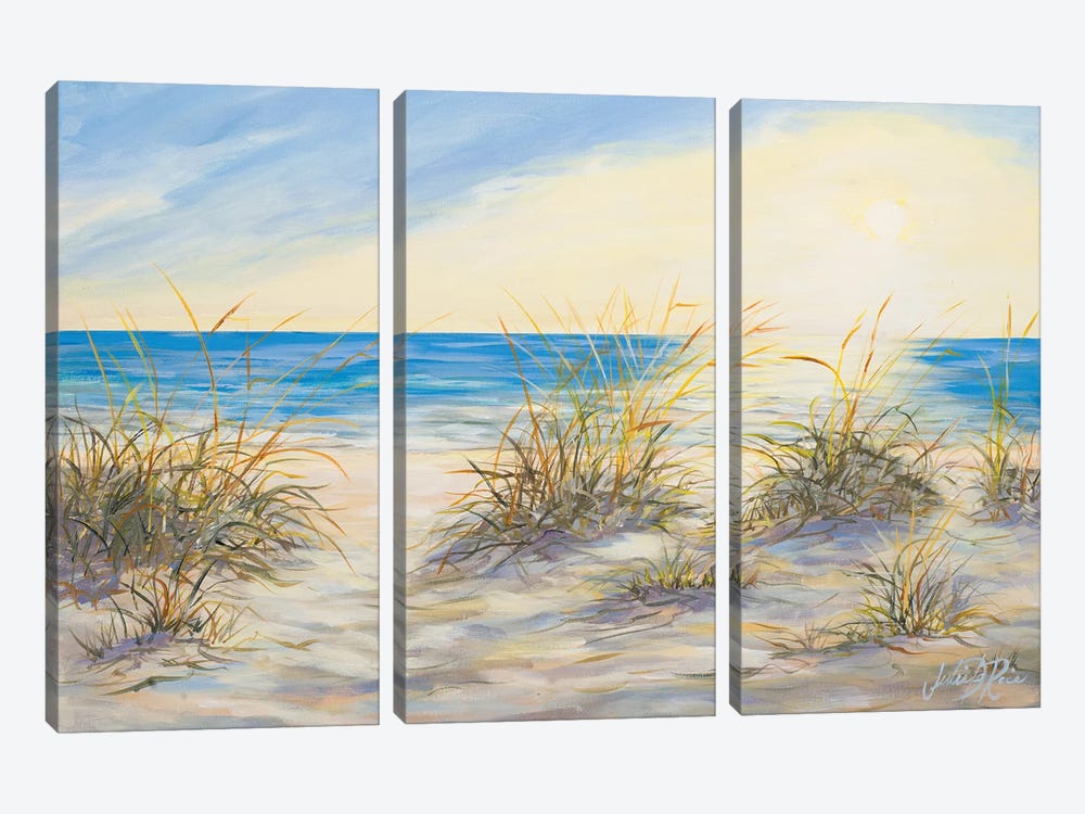 Coastal Sunrise by Julie Derice 3-piece Canvas Artwork