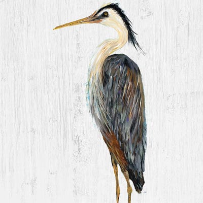 Heron on Whitewash I by Julie Derice canvas print