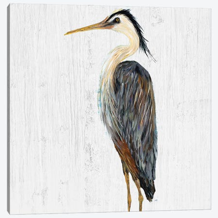 Heron on Whitewash I Canvas Print #DRC236} by Julie Derice Canvas Art Print