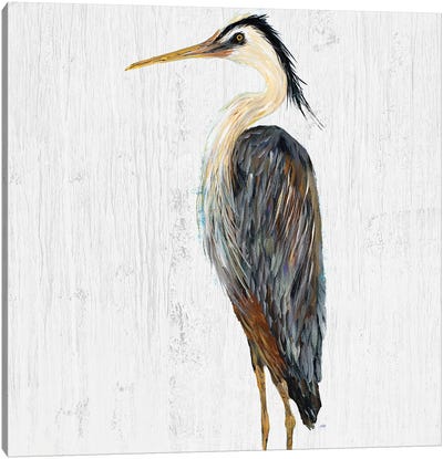 Heron on Whitewash I Canvas Art Print - Heron Art