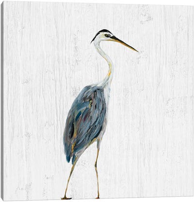 Heron on Whitewash II Canvas Art Print - Julie Derice