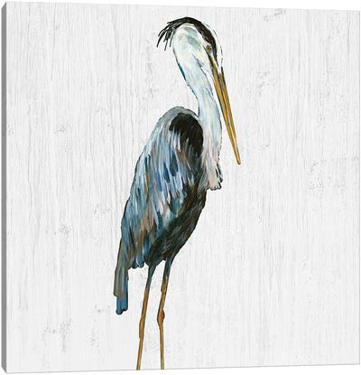 Heron on Whitewash III Canvas Art Print - Heron Art