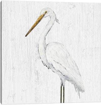 Heron on Whitewash IV Canvas Art Print - Heron Art
