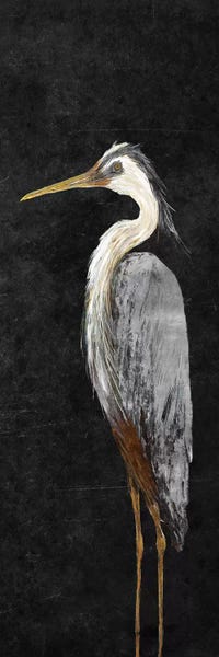 Panoramic Horizontal: Heron on Black I by Julie Derice