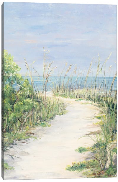 Paradise Path Canvas Art Print - Julie Derice