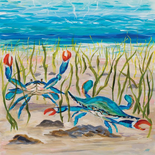 Crabs: Blue Crabs by Julie Derice