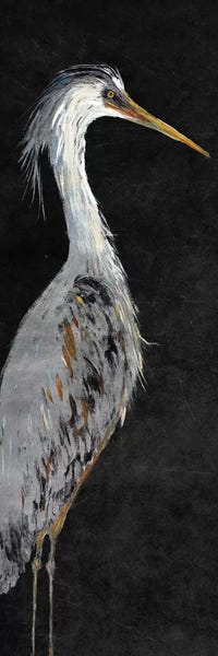 Panoramic Horizontal: Heron on Black II by Julie Derice